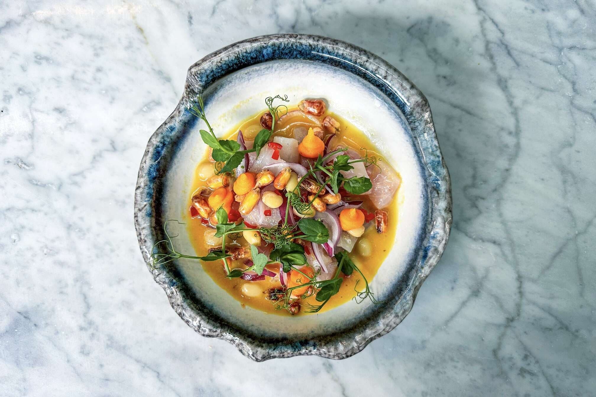 Peruvian Ceviche Wit Min